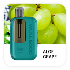 VAAL 5000 PUFFS DISPOSABLE VAPE (PACK OF 10) - ALOE GRAPE