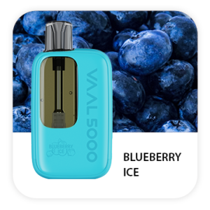 VAAL 5000 PUFFS DISPOSABLE VAPE (PACK OF 10) - BLUEBERRY ICE