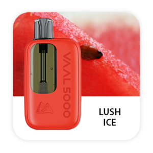 VAAL 5000 PUFFS DISPOSABLE VAPE (PACK OF 10) - LUSH ICE