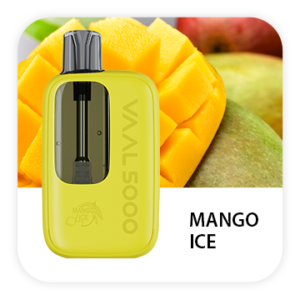 VAAL 5000 PUFFS DISPOSABLE VAPE (PACK OF 10) - MANGO ICE