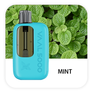VAAL 5000 PUFFS DISPOSABLE VAPE (PACK OF 10) - MINT