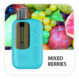 VAAL 5000 PUFFS DISPOSABLE VAPE (PACK OF 10) - MIXED BERRIES