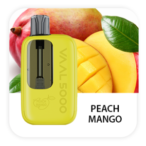 VAAL 5000 PUFFS DISPOSABLE VAPE - PEACH MANGO