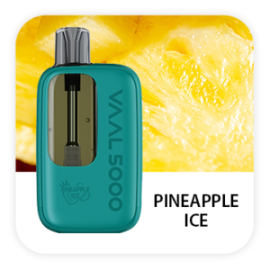 VAAL 5000 PUFFS DISPOSABLE VAPE (PACK OF 10) - PINEAPPLE ICE
