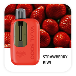 VAAL 5000 PUFFS DISPOSABLE VAPE (PACK OF 10) - STRAWBERRY KIWI